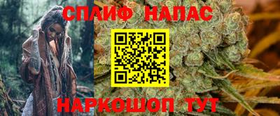 сатива Боровичи