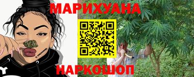 a pvp Братск