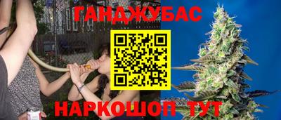 сатива Боровичи