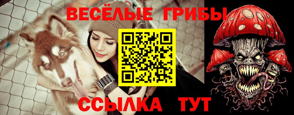 Добрянка  Псилоцибиновые грибы ЛСД  Вход с VPN  Псилоцибиновые грибы Cubensis 