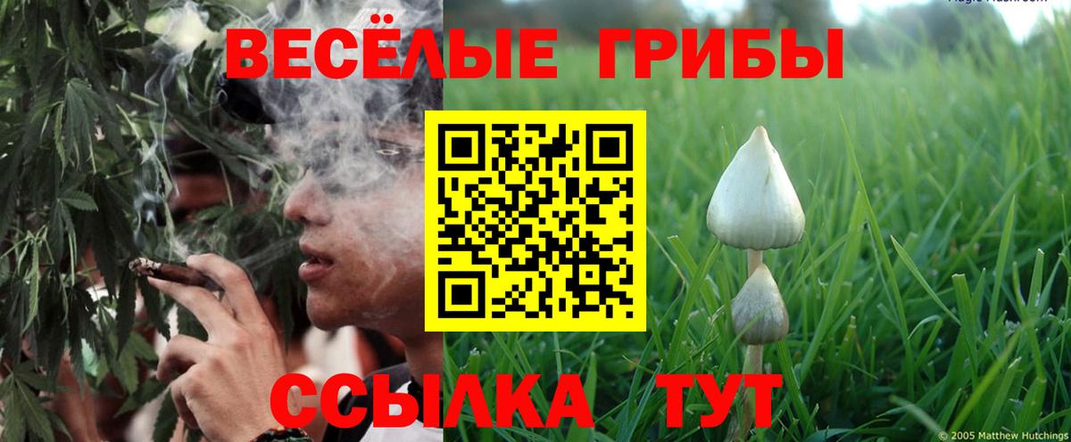 Псилоцибиновые грибы Magic Shrooms Добрянка